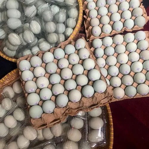 KDMP Bumiwangi